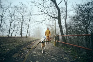 Cold snap in Czechia expected after record-warm October temperatures