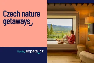 11 hidden cabins, cottages, and countryside stays in Czechia