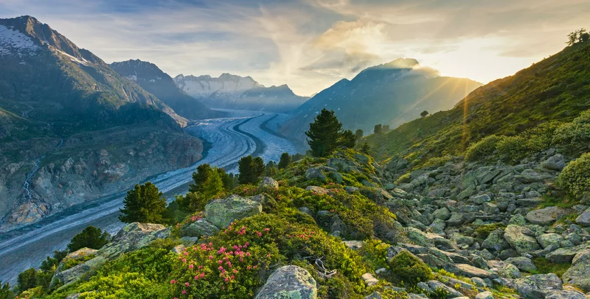 Aletsch Arena
