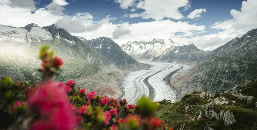 SWISS  Aletsch Arena 05-2025 FLICKR wanderung-riederfurka-zur-moosfluh-in-der-aletsch-arena_54484775314_o