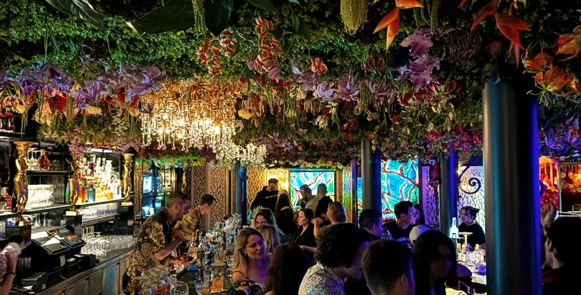 Zlaty Zlatý Strom U Zlatého Zlateho Stromu 06-2025 bar-prague-12